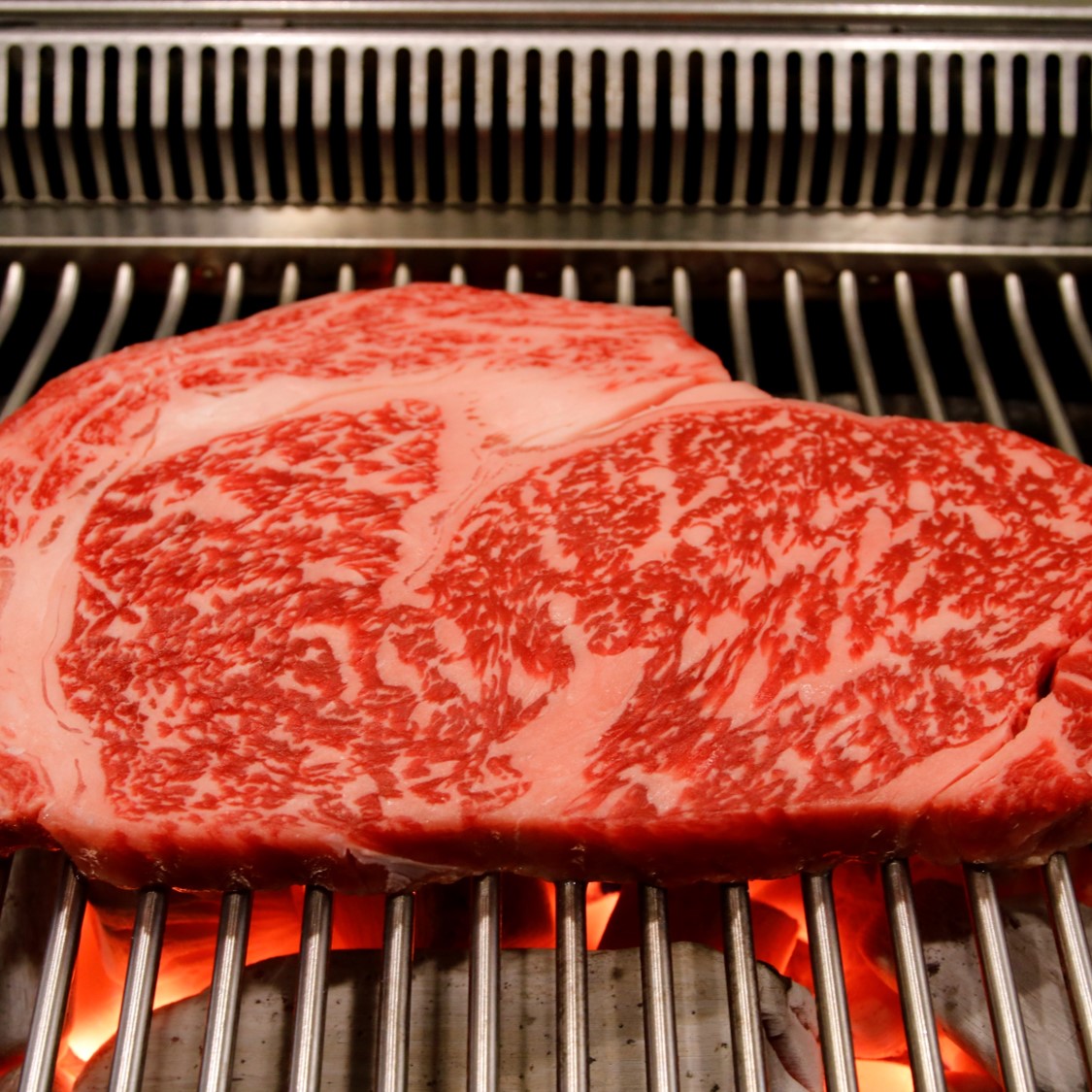 정읍한우 1++등급 안심