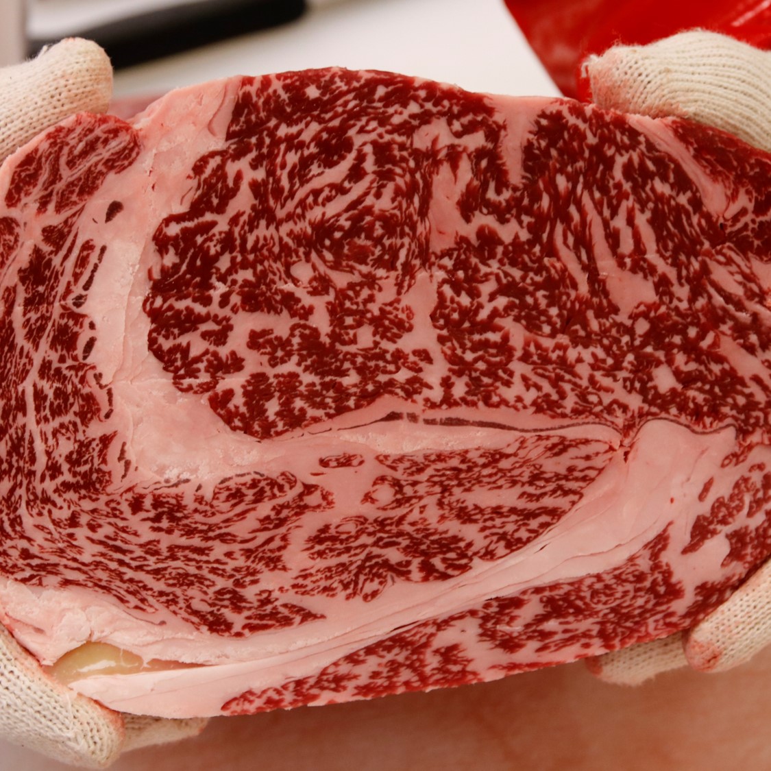 정읍한우 실속세트 1.2kg